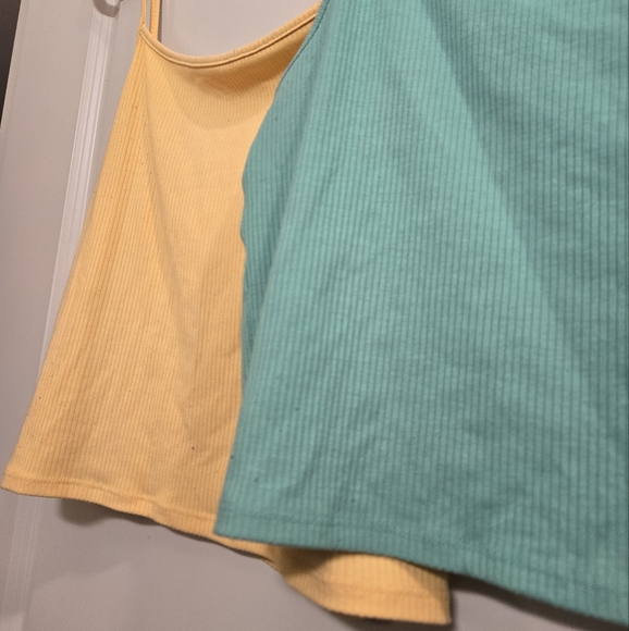 American Eagle Crop Tanks - Picture 2 of 6